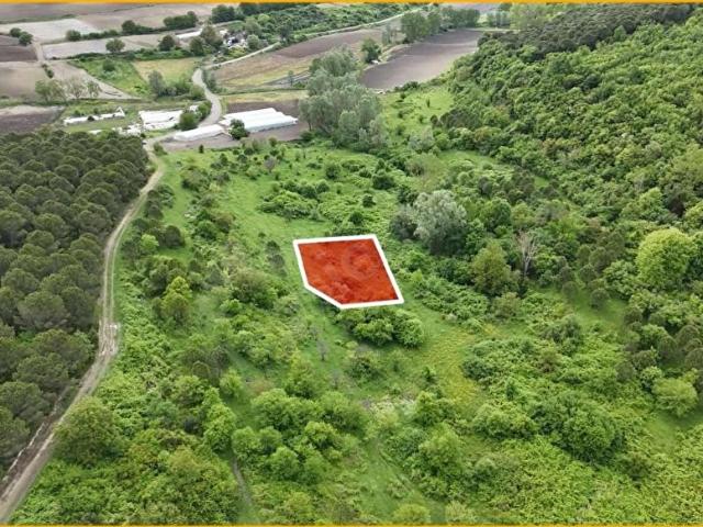 Çatalca Kızılcaalide Orman İçinde Yatırımlık 268 m Arsa