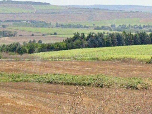 ÇATALCA KESTANELİK'TE 8.467 M SATILIK TARLA