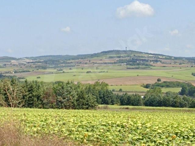 ÇATALCA KESTANELİK'TE 16.846 M SATILIK TARLA