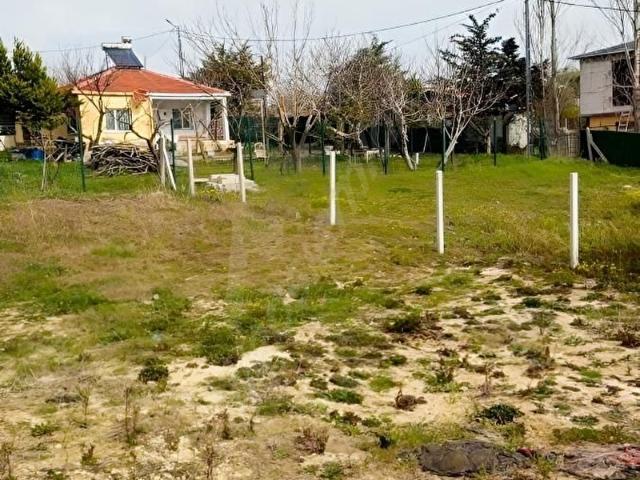 ÇATALCA KESTANELİK 243 M2 HİSSELİ TARLA SATILIK 2507