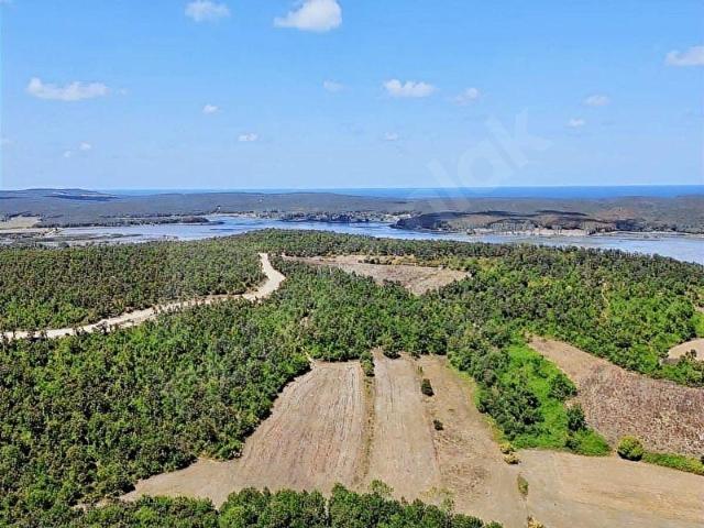 ÇATALCA HİSARBEYLİDE ORMAN İÇİNDE 4.625M2 FİYAT ÇOK UYGUN