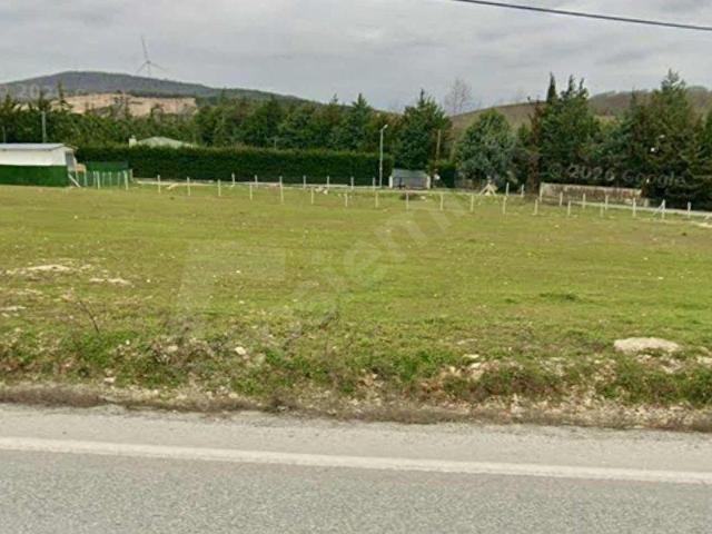 ÇATALCA İHSANİYEDE ANA YOLA CEPHELİ 1.243 m EMSAL ALTI SATILIK