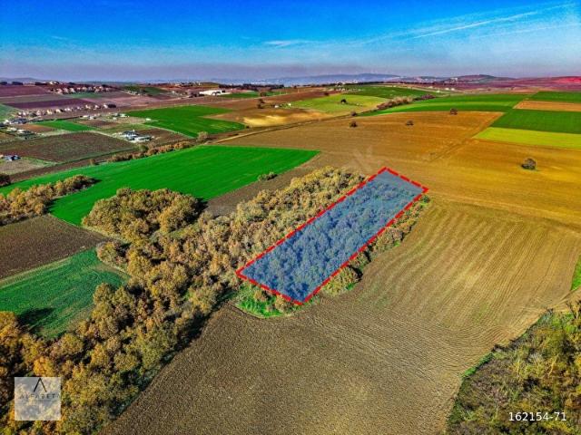 Çatalca Muratbeyde 7.456 m Villa İmarlı Satılık Arsa