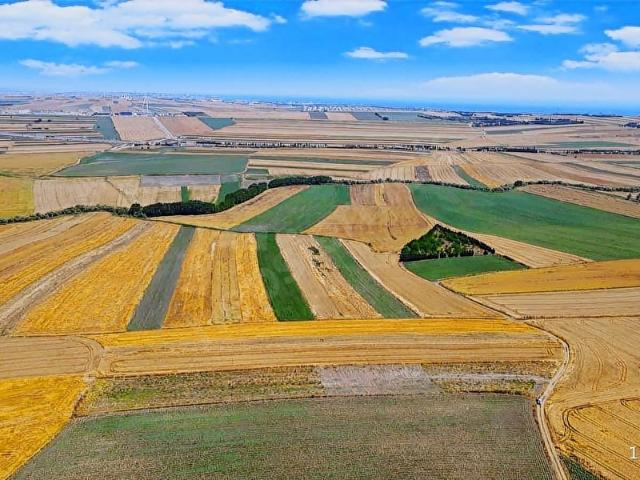ÇATALCA YOLÇATI MAHALLESİNDE 636 M2 TELLE ÇEVRİLİ SATILIK ARSA