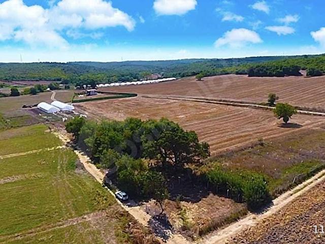ÇATALCA YAZLIKKÖY'DE TELLE ÇEVRİLİ ORMAN MANZARALI SON 246 M2