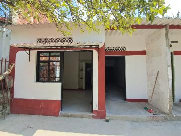 Atalaya, palmeras parte alta \ APARTAESTUDIO