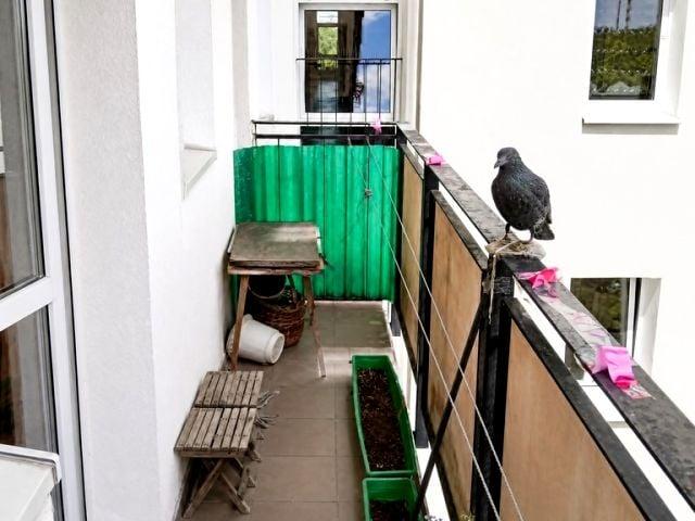Ateńska 38 m², Warszawa