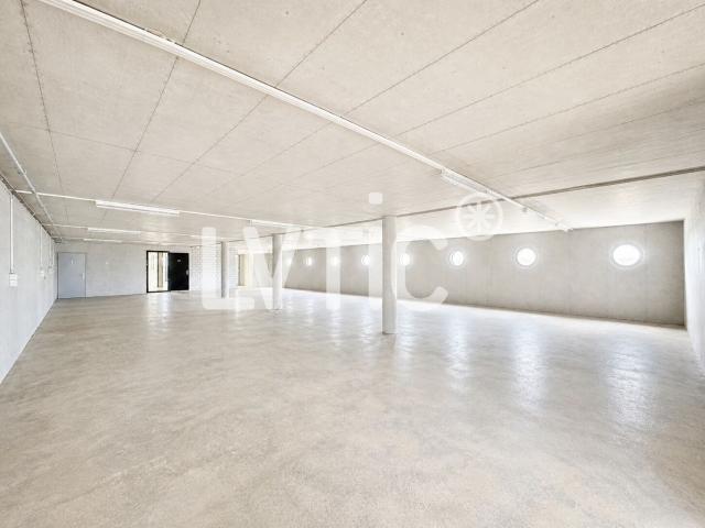 Atelier for rent in Adresse sur demande 622 m² | dreamo. Ch