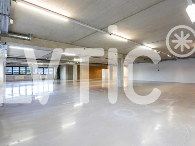 Atelier, Labor, Lager, Büros von 700 m2 zu vermieten in Nyon