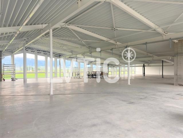 Werkstatt, Labor von 800 m2, teilbar ab 300 m2, zu vermieten in Chavornay