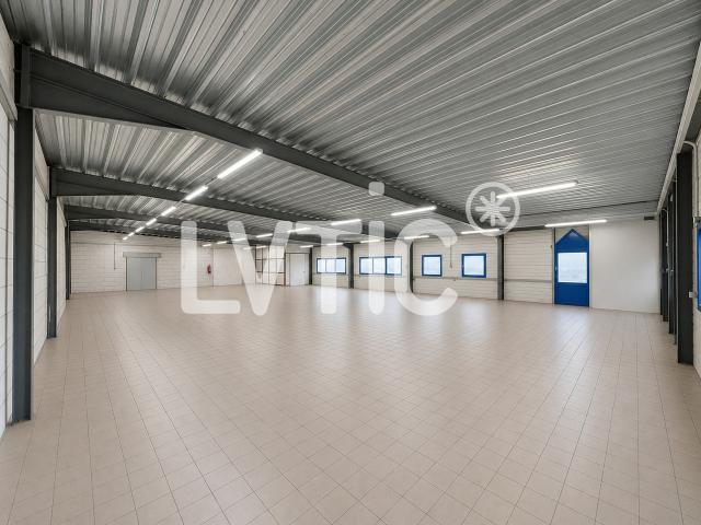 Atelier, Lagerfläche von 578 m2 zu vermieten in Yverdon – Treycovagnes