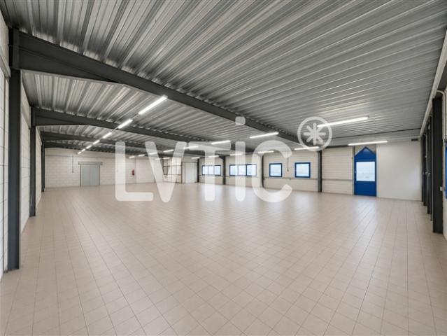 Atelier, Lagerfläche von 578 m2 zu vermieten in Yverdon – Treycovagnes