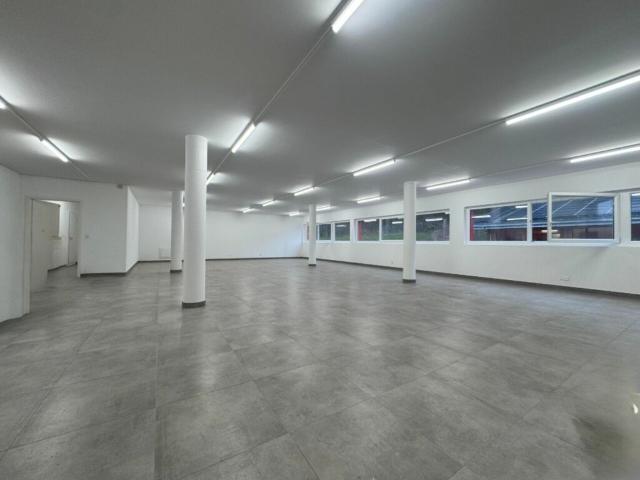 Atelier/Espace expo 1.5 pièces 156.35 m2 à Puidoux Gare