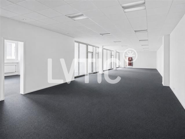 Ateliers, Depots, Büros von 760 m2 zu vermieten in Renens