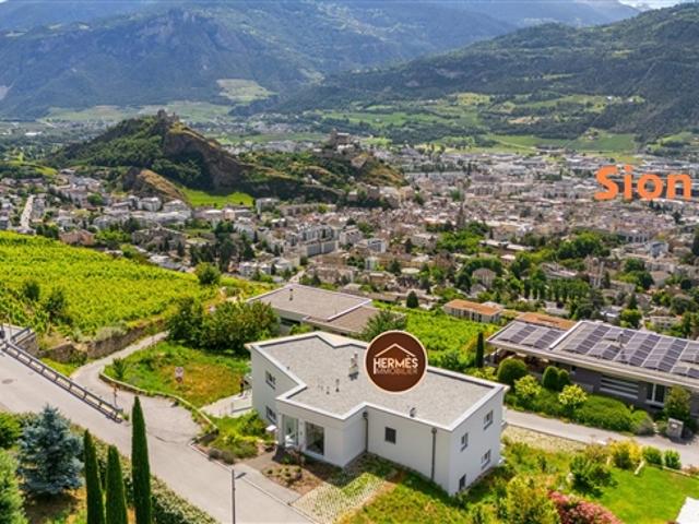 Atemberaubende 4,5 Zimmer Signature Penthouse Wohnung in Diolly, Sion