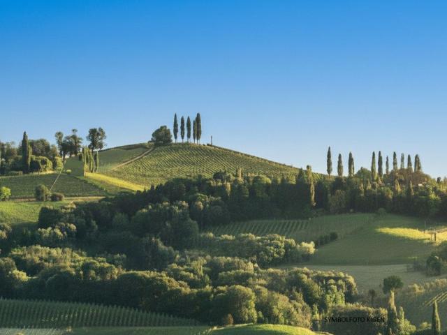 Atemberaubender Rundumblick, malerische Alleinlage, Wohnen, Weinbau, Wald, Teich SÜDSTEIERMARK