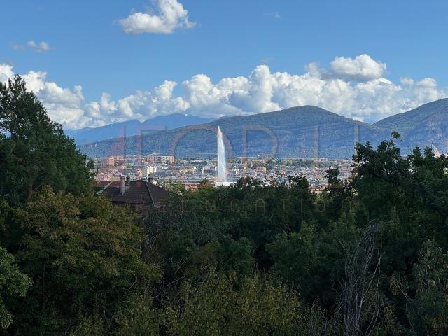 Atemberaubendes neues 6,5 Zimmer Penthouse mit 2 Terrassen und Blick in der Nähe der UN