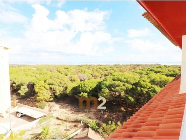 Ático Venta Guardamar del Segura, Centro