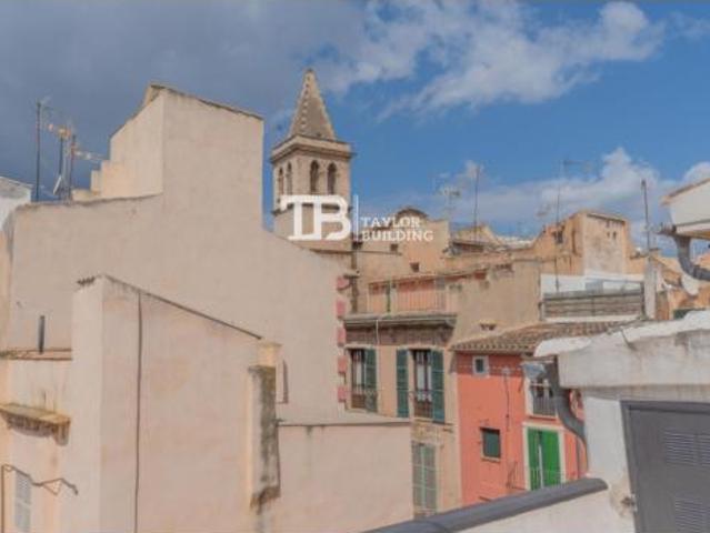 Ático Venta Palma de Mallorca, El Sindicat