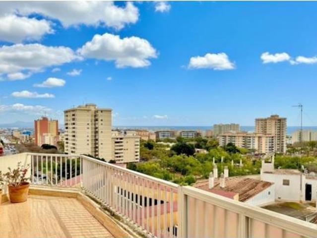 Ático Venta Palma de Mallorca, Foners