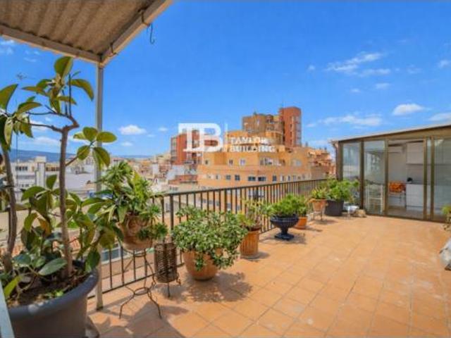 Ático Venta Palma de Mallorca, Foners