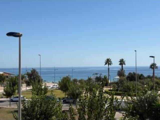 Ático Venta Pilar de la Horadada, Núcleo