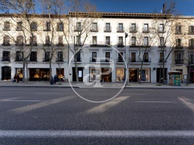 Ático Alquiler Madrid Capital, Castellana