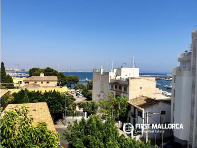 Ático Alquiler Palma de Mallorca, El Terreno