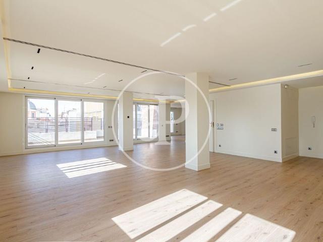 Atico de lujo de 330 m2 en alquiler Madrid, España