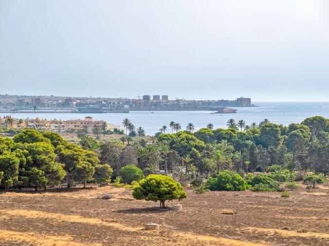 Ático en Torrevieja