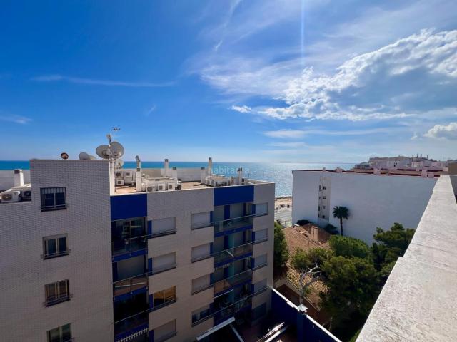 Ático en venta en Torrevieja, Zona Playa de los Locos. ATICO DUPLEX EDIFICIO EN PRIMERA LINEA PLAYA DE LOS LOCOS. Áticos.