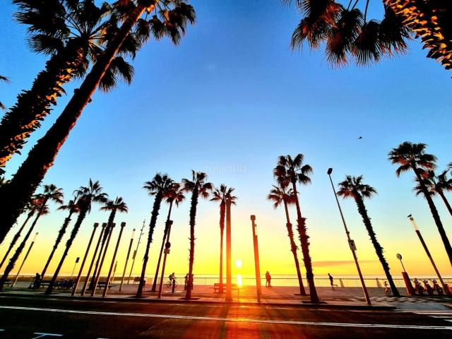 Ático en venta en Barcelona, Barceloneta. Atico muy luminoso, con vistas al mar y a la estación de tren Francia. Áticos.