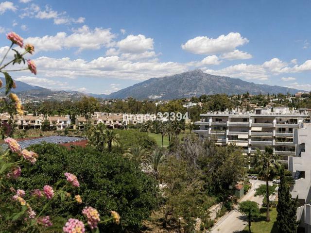 Ático en venta en Marbella, Guadalmina Alta. Áticos.