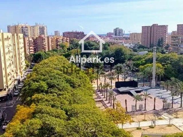 Ático en Venta en Florida Baja