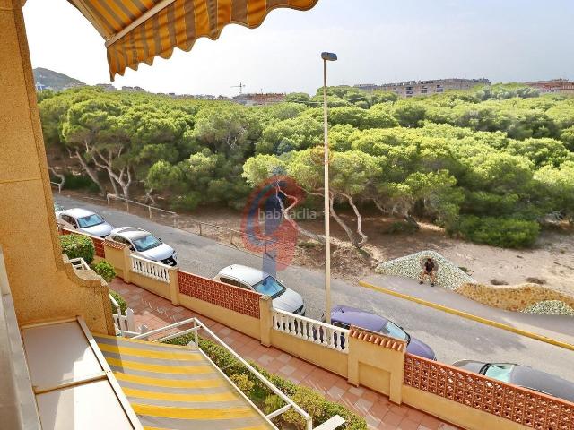 Ático en venta en Guardamar del Segura, Las Viñas. Ático dúplex a la venta en el Pinar de Guardamar!. Áticos Guardamar del.
