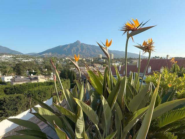 Ático en venta en Marbella, Nueva Andalucía centro. Ático en Nueva Andalucía. Áticos.