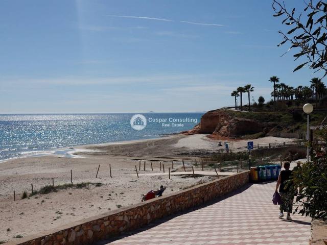 Apartamento en Venta en Pilar de la Horadada ciudad