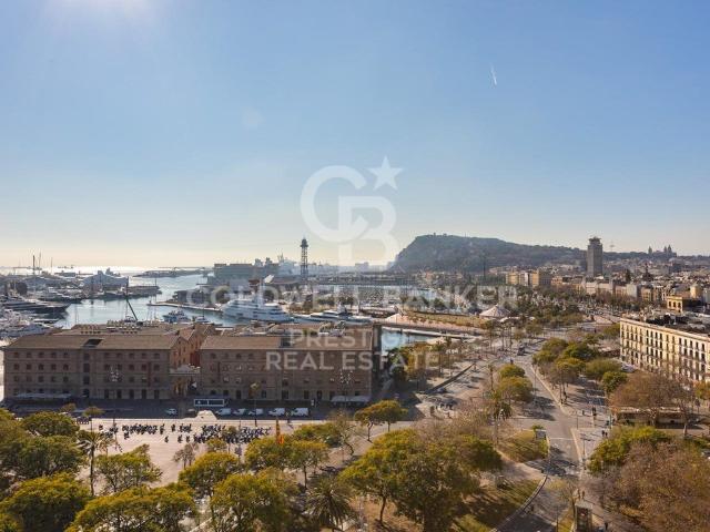 Ático en venta recientemente renovado en Santa Caterina i la. 250m² Barcelona