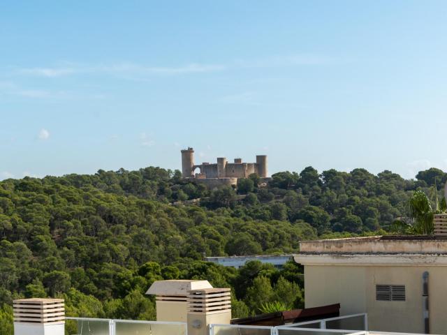 Ático con vistas panorámicas, gran terraza y acceso directo al Bosque de Bellver