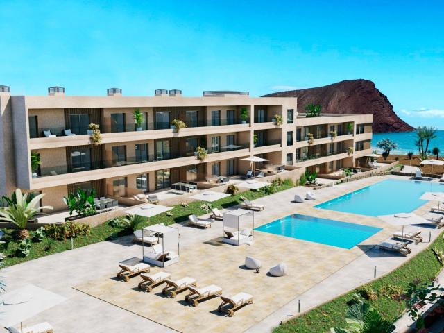 Ático exclusivo en primera linea, Playa de la Tejita