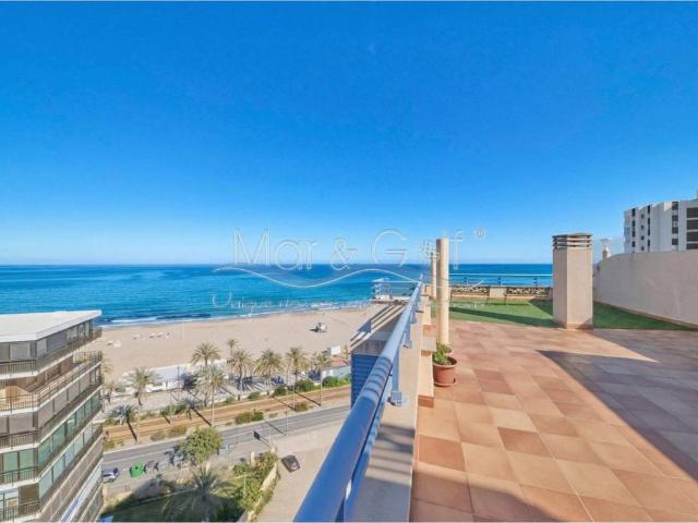 Ático/Buhardilla en Alquiler en Alicante Alacant