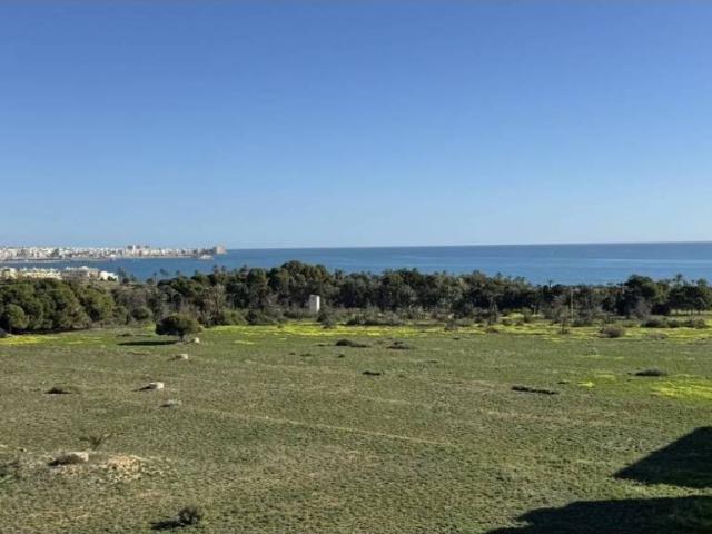 Ático/Buhardilla en Venta en Orihuela