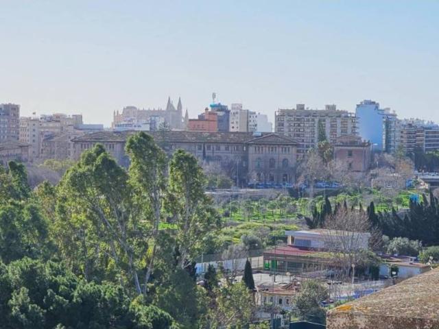 Ático/Buhardilla en Venta en Palma de Mallorca