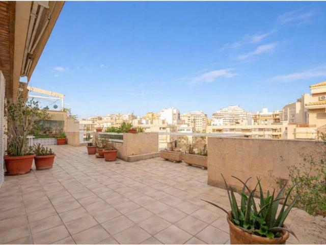 Ático/Buhardilla en Venta en Palma de Mallorca