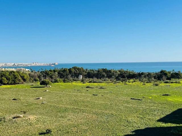 Ático/Buhardilla en Venta en Torrevieja
