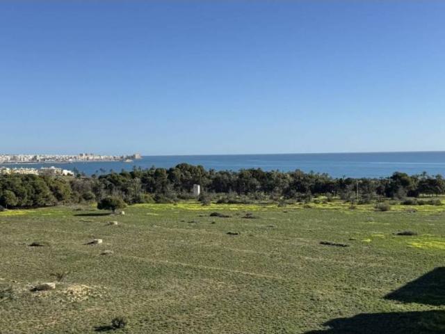 Ático/Buhardilla en Venta en Torrevieja