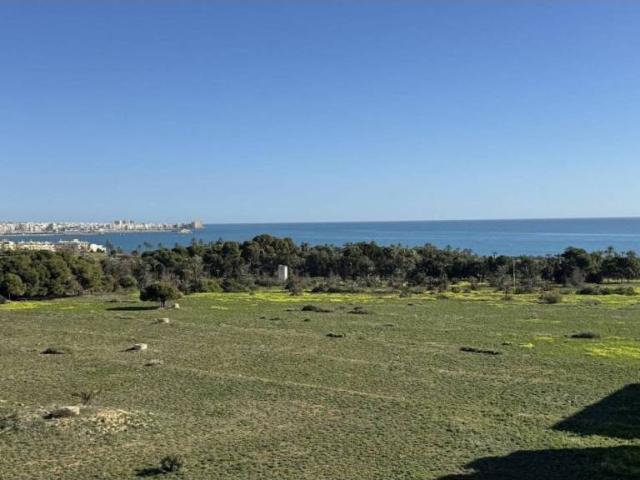 Ático/Buhardilla en Venta en Torrevieja
