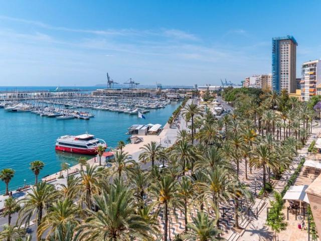 Aticos en alquiler en Alicante