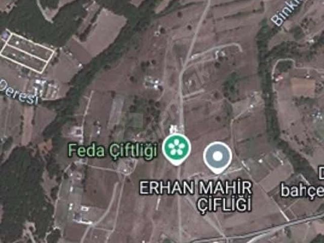 ÇATLACA BİNKILIÇ'ta TEK TAPU 4600 m2 TARLA