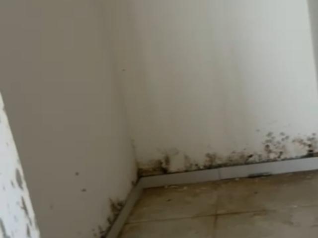 Atlantis Vasavi 3 Bedroom 2170 Sq. Ft. Apartment in Narsingi Hyderabad Listing ID: #10217